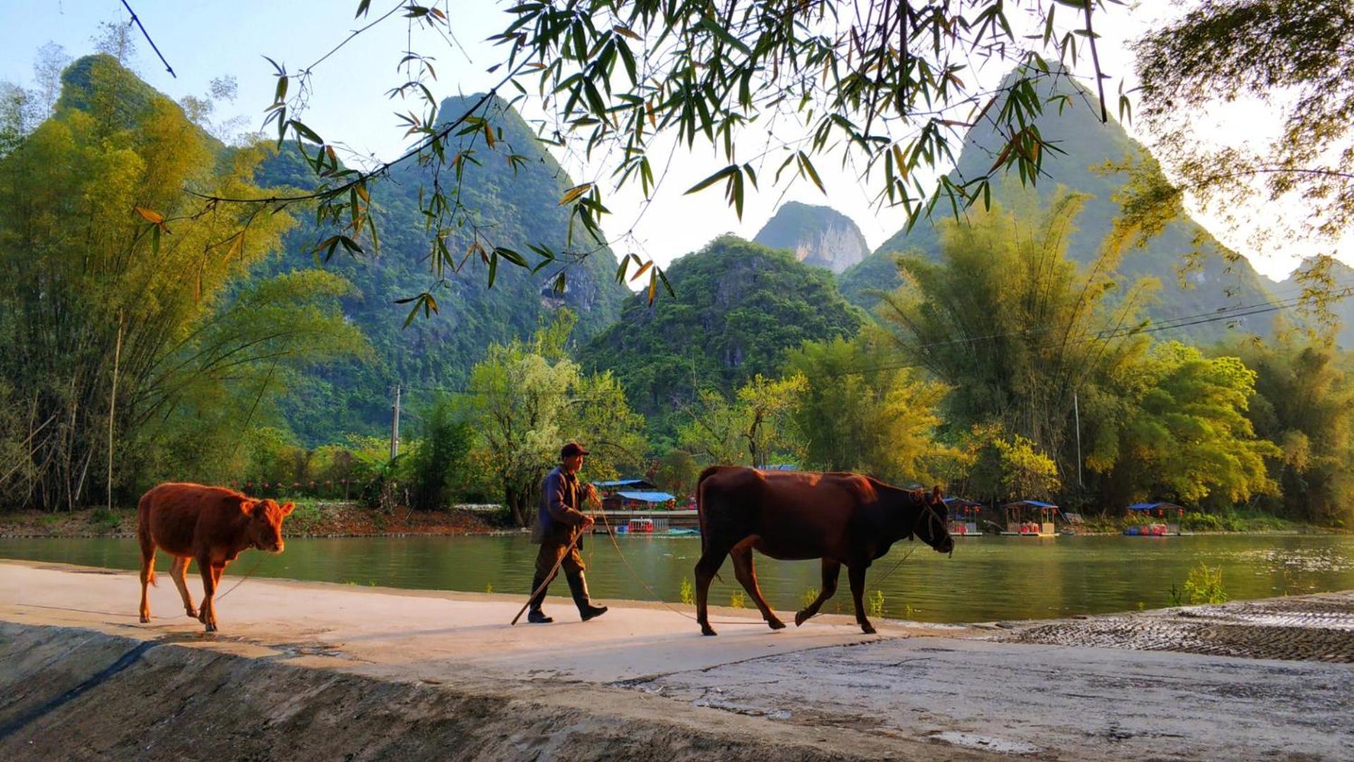 Moondance Boutique Resort Yangshuo Dış mekan fotoğraf