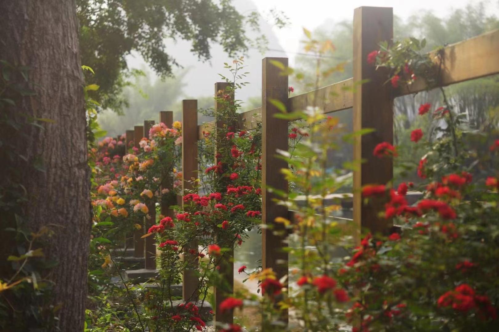 Moondance Boutique Resort Yangshuo Dış mekan fotoğraf